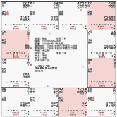 武曲貪狼外表|紫微斗數【貪狼星入命宮】解析